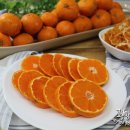 금오종합축산 이미지