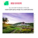 커리아트홈 | [동남아여행지추천] 태국 치앙마이 3박5일 패키지 노쇼핑 노팁 코끼리캠프 12월 1월 일정