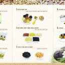 미완성농장 이미지