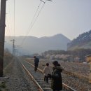 엉클캠프 이미지