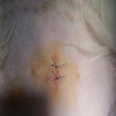 괴산동물병원 이미지