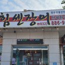 힘센장어