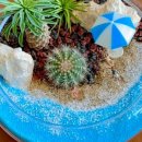 좋은날,여기 이미지