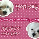 블럭제빵소서현 | [분당 서현 맛집]서현동 빵집 추천! 블럭제빵소 후기