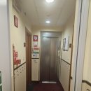 밀라노피자 | 이탈리아 여행 2편 : 밀라노 베르나호텔 조식 후기, 피자 맛집 발다사레카페 후기