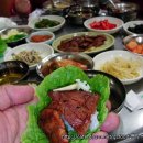황소고집 이미지