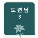 도련님