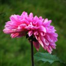 정대경로당 이미지