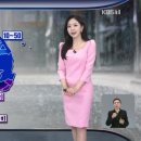 내일은 단비