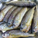 서해판매 이미지