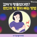 운천한방병원 이미지