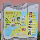 HONG CAR | 【홍콩-마카오 자유여행 4일차 ep.1】 : 옥토퍼스 카드 사용 꿀팁, 옹핑 360 케이블카, 옹핑 빌리지...