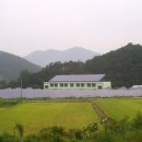 도산태양광발전소 이미지