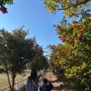 길갈농장 | 제주 아이와 가볼만한 곳 '길갈 팜 랜드'