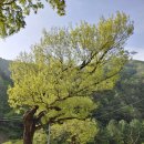 직동2리마을회관 이미지