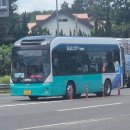 금성리경로당 네이버블로그
