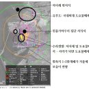 새만금 신공항 영향평가 초안 보호종 누락에 개발 면죄부까지,그러나 과학적 근제 제시 못해_보도자료 이미지