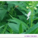 농업회사법인(주)한울타리