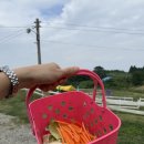 정남 목장 | [남해]아이들과 함께 방문하기 좋은 남해양떼목장-&#39;양모리학교&#39; 후기