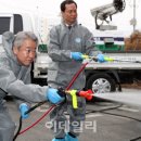 강호동 카카오 검색결과