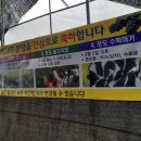 신호철농장 Daum카페