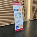 2024 송도 케이펫페어 첫째날, 둘째날 오픈런 후기 - 펫페어 꿀팁