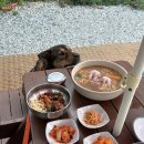 댕댕이밥상 이미지