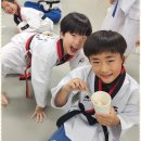 멘토 태권도 하는 아이들 이미지