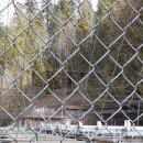 Capilano River Hatchery 이미지