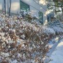 (주)굿모닝월드 이미지