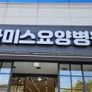프라미스요양병원 Daum카페