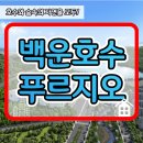 숲속의 아침 이미지