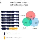 GS25 포이점 | Spatiotemporal genomic profiling of IM reveals clonal dynamics of gastric cancer (1)