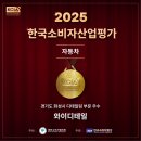 와이디테일