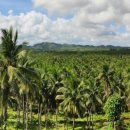 신강농장 이미지