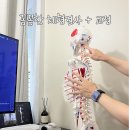 가온체형교정운동센터 | 진해체형교정 가온체형교정센터 진해점 솔직 후기