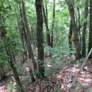 김선배농장 이미지