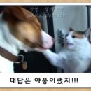 먹다 티스토리