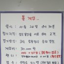 성오볼링장 Daum카페
