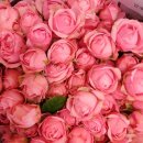 장미슈퍼 이미지