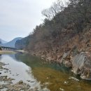 청도강변돌고래펜션 이미지