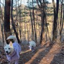 홍천사우나찜질방 이미지