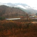두메산골 Daum카페