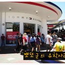 골드빅타운