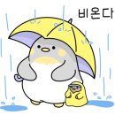 샤인멍 이미지