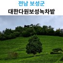 인생설렁탕 전남보성점 | 전남 보성 가볼만한곳 대한다원보성녹차밭 입장료