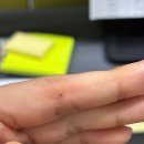 4공단로1R-55 | 이게 가을이여 겨울이여 이거슨 가을겨울이다