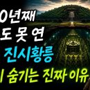 “2,200년째 아무도 못 연 무덤 "진시황릉" : 중국이 숨기는 진짜 이유” 이미지