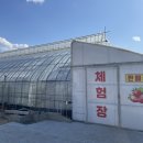 옹골농장 이미지