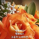 6,27(화).간추린 News 이미지